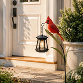 Cardinal Solar Light—A Beautiful Garden Light That Feels Full of Life