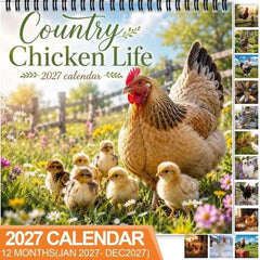 2027 Country Chicken Calendar – Farmhouse charm & wall-ready ✨
