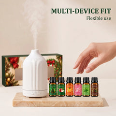 🎄Christmas Fragrance Essential Oil Gift Set 🎁6‐Scent Collection Home Aroma Gift Idea
